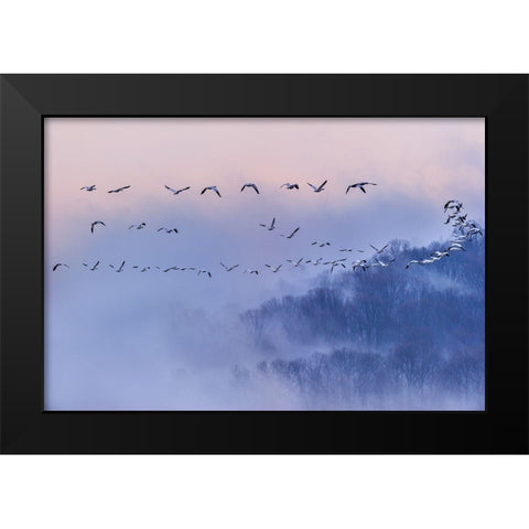 Poems And Dreams (Em?A??Ei?Ae?Andsup1;) Black Modern Wood Framed Art Print by Li, Austin