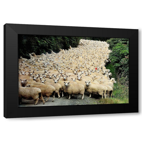 New Zealand Traffic Jam Black Modern Wood Framed Art Print with Double Matting by Tzur, Yair
