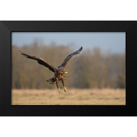 3D Black Modern Wood Framed Art Print by Rayco