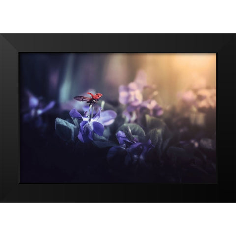 Leaving Wonderland Black Modern Wood Framed Art Print by Andras, Pasztor