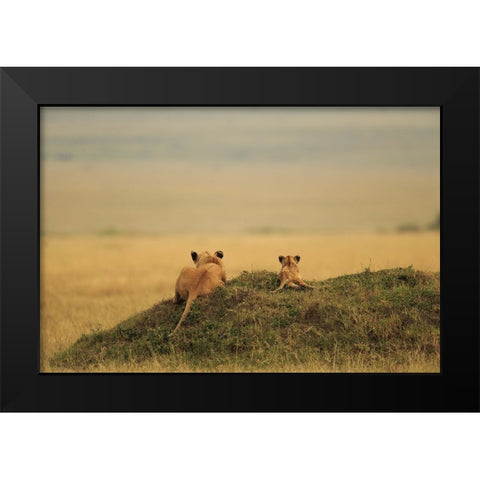 One Day It Will Be Yours Black Modern Wood Framed Art Print by Mei, Massimo