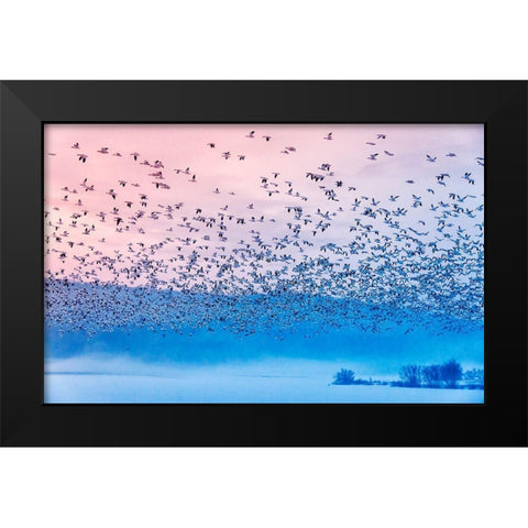 Flying In The Fogging Morning Black Modern Wood Framed Art Print by Li, Rob