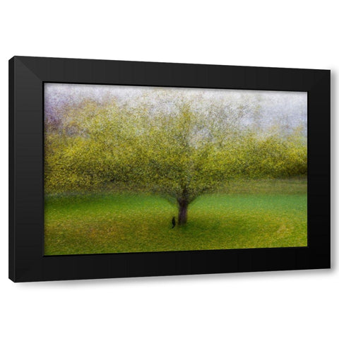 The Cat By The Tree Black Modern Wood Framed Art Print with Double Matting by Ostlund, Arne