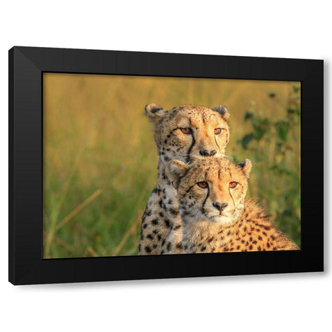 Double Team Black Modern Wood Framed Art Print with Double Matting by Marx, Jaco