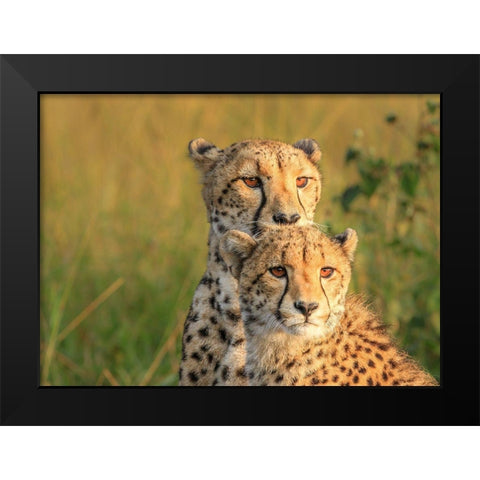 Double Team Black Modern Wood Framed Art Print by Marx, Jaco