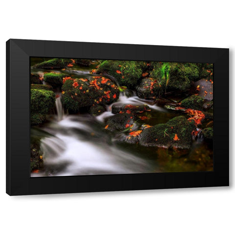 Autumn Melodies Black Modern Wood Framed Art Print with Double Matting by Pancareken, Yavuz