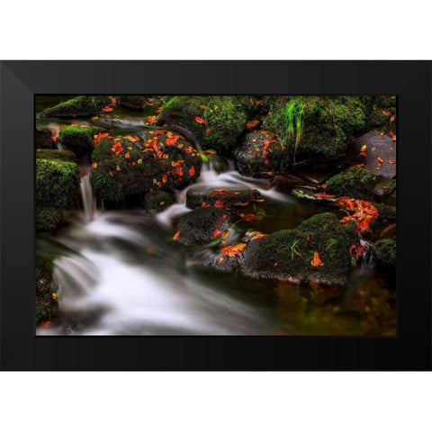 Autumn Melodies Black Modern Wood Framed Art Print by Pancareken, Yavuz