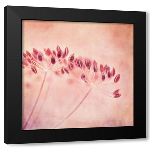 ILl Wait All Winter Black Modern Wood Framed Art Print by Wettstein, Priska