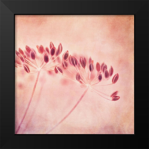 ILl Wait All Winter Black Modern Wood Framed Art Print by Wettstein, Priska