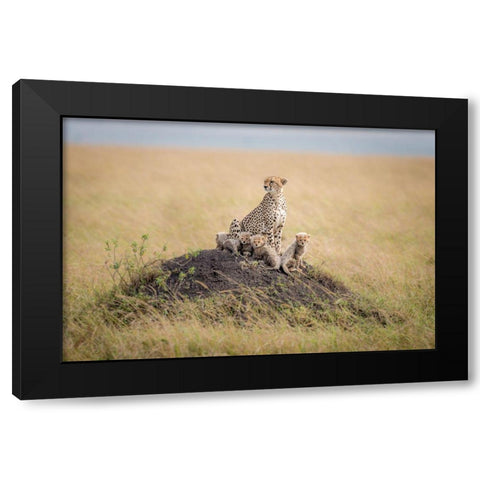 Regal Protector Black Modern Wood Framed Art Print with Double Matting by Taylor, Ted