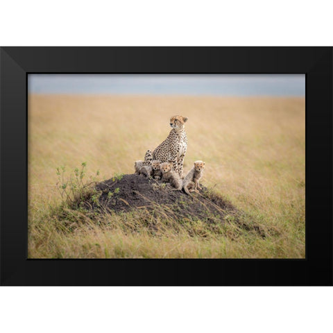 Regal Protector Black Modern Wood Framed Art Print by Taylor, Ted
