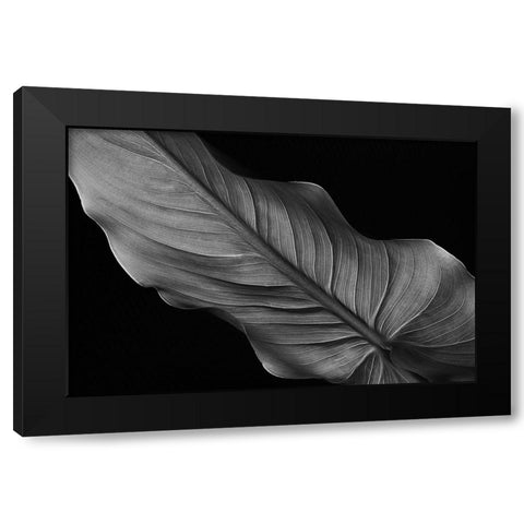 Female Black Modern Wood Framed Art Print by Pascual Buye, Santiago