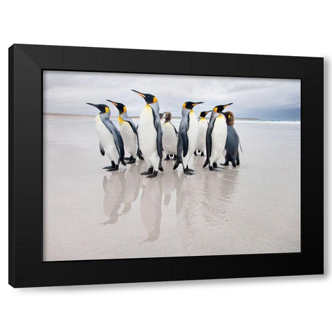 Bodyguard Black Modern Wood Framed Art Print by Gil Raga, Joan