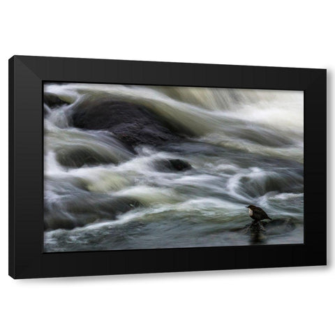 Flowing Contemplation Black Modern Wood Framed Art Print by Ostlund, Arne