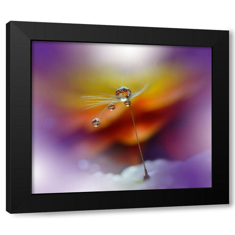 Little Night Music... Black Modern Wood Framed Art Print with Double Matting by Nan, Juliana