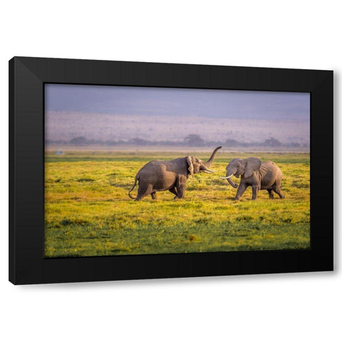 Ill Teach You Black Modern Wood Framed Art Print with Double Matting by Taylor, Ted