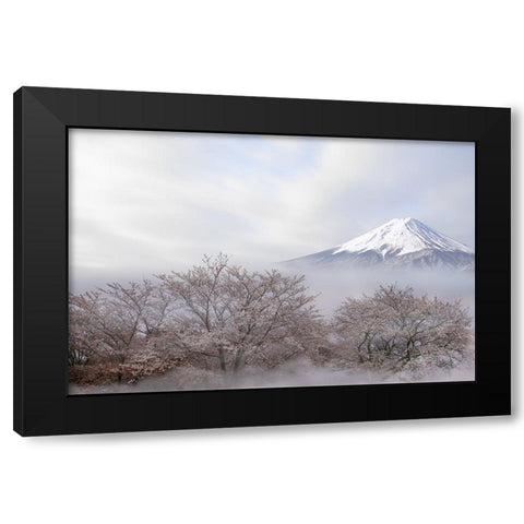 Mt.Fuji In Spring Black Modern Wood Framed Art Print with Double Matting by Iga, Ikuo