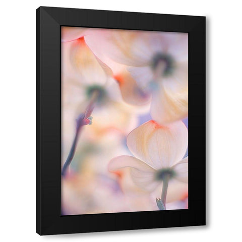 Under The Skirts Of Flowers Black Modern Wood Framed Art Print with Double Matting by Casanova, Francois