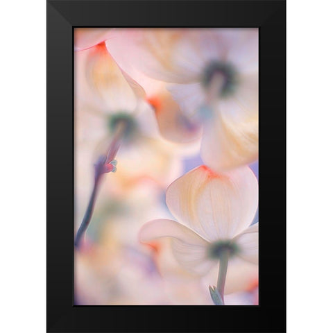 Under The Skirts Of Flowers Black Modern Wood Framed Art Print by Casanova, Francois