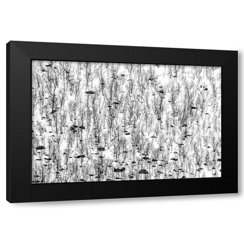 Little Trees Black Modern Wood Framed Art Print with Double Matting by Ghesquiere, Hilde