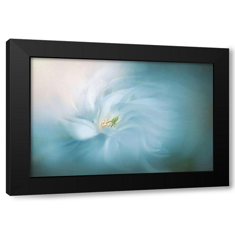 Floral Ballet Black Modern Wood Framed Art Print with Double Matting by Parker, Jacky