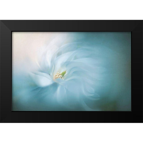 Floral Ballet Black Modern Wood Framed Art Print by Parker, Jacky