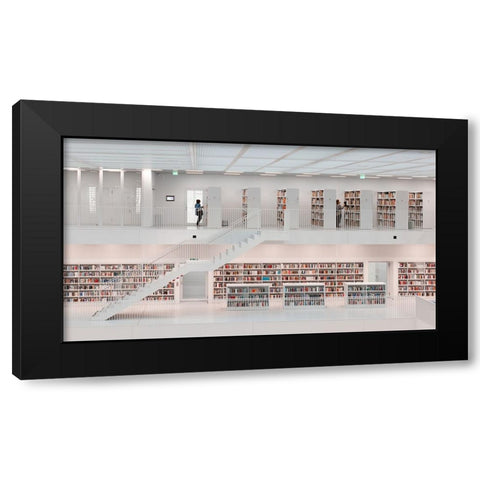 In The Library, 2014 Black Modern Wood Framed Art Print by Martin Doelz, Hans