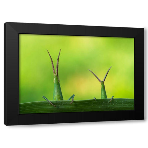 Macro Black Modern Wood Framed Art Print by Kamran, Mehdi