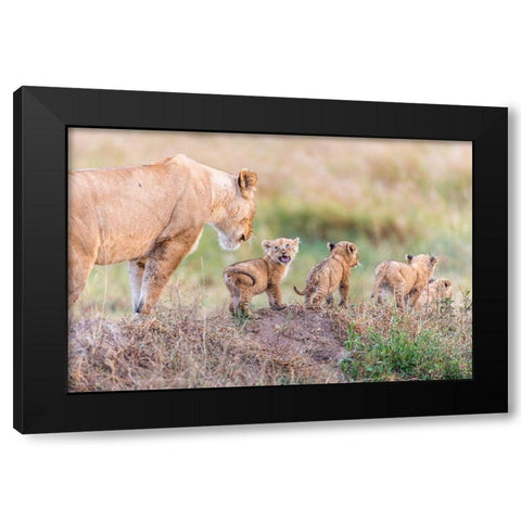 Lets Go Mom Black Modern Wood Framed Art Print with Double Matting by Taylor, Ted