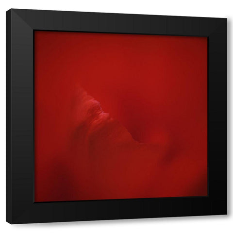 All Red Black Modern Wood Framed Art Print by Gronkjar, Lotte