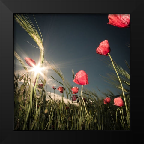 Summer Is Here Black Modern Wood Framed Art Print by Dvorak, Petra