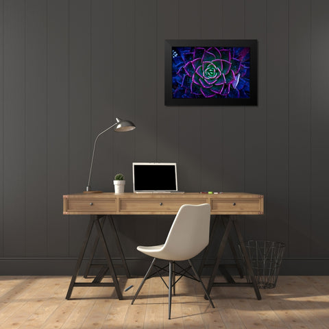 Wild Flowers Black Modern Wood Framed Art Print by Pandya, Hardik