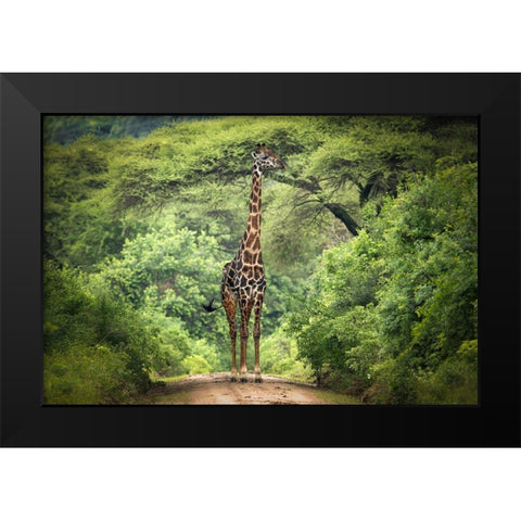 Unexpected Meeting Black Modern Wood Framed Art Print by Trubitsyn, Kirill