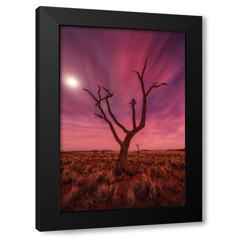 Magic Moments Black Modern Wood Framed Art Print by Hoffmann, Raymond