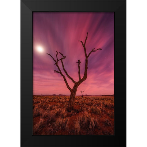 Magic Moments Black Modern Wood Framed Art Print by Hoffmann, Raymond