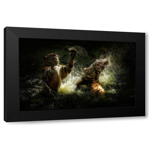 Fighting Black Modern Wood Framed Art Print with Double Matting by Bunjamin, Antonyus