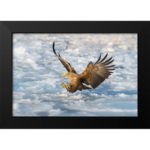 Coming Black Modern Wood Framed Art Print by Mei, C.