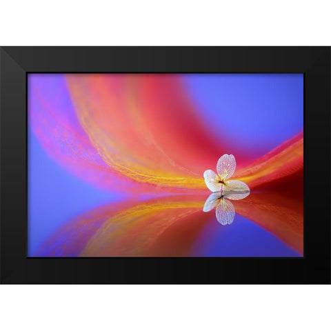 The Whisper Black Modern Wood Framed Art Print by Pan, Sophie