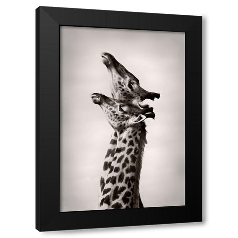 True Love Black Modern Wood Framed Art Print by WildPhotoArt