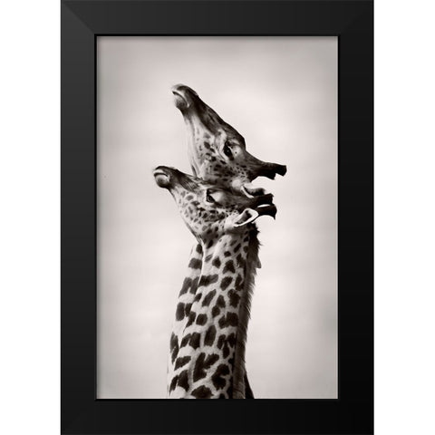 True Love Black Modern Wood Framed Art Print by WildPhotoArt