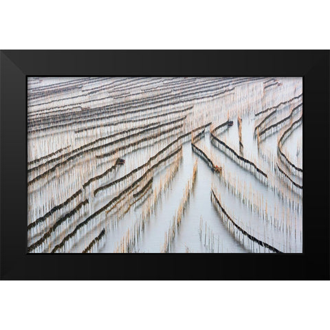 Harvesting Kelp Black Modern Wood Framed Art Print by Zhou, Xinhua