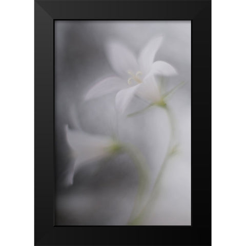Bells Black Modern Wood Framed Art Print by Reindl, Doris
