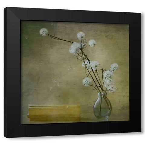 Books Black Modern Wood Framed Art Print with Double Matting by Devos, Delphine