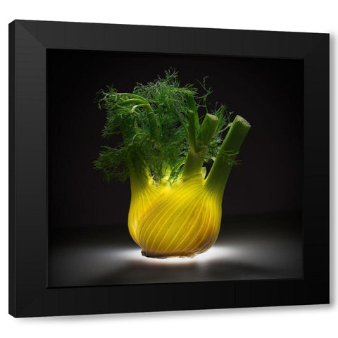 Fennel Black Modern Wood Framed Art Print with Double Matting by De Kogel, Wieteke