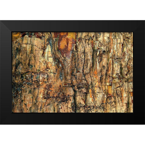 Bark Black Modern Wood Framed Art Print by Kravanja, Jure