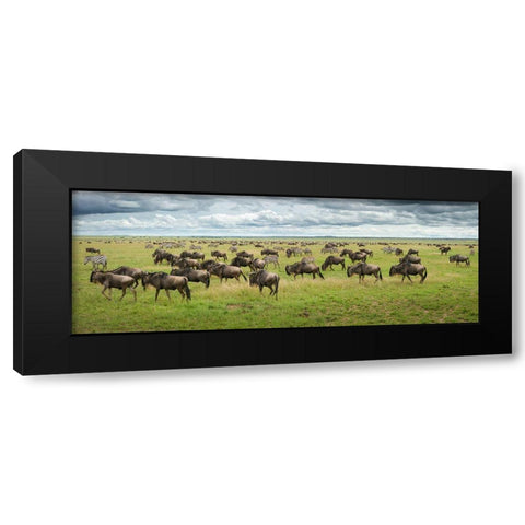 Great Migration In Serengeti Plains Black Modern Wood Framed Art Print by Trubitsyn, Kirill