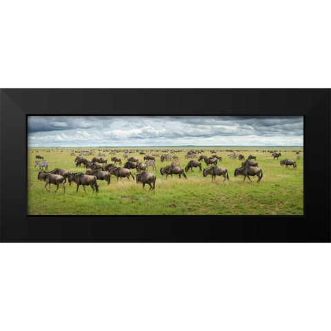 Great Migration In Serengeti Plains Black Modern Wood Framed Art Print by Trubitsyn, Kirill