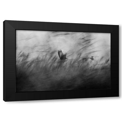 Out Of The Blue Black Modern Wood Framed Art Print with Double Matting by Segev, Elior