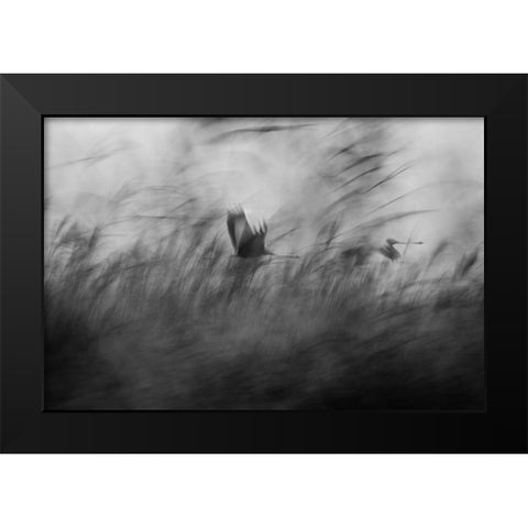 Out Of The Blue Black Modern Wood Framed Art Print by Segev, Elior