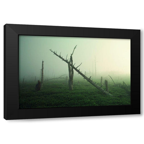 Beautiful Rot Black Modern Wood Framed Art Print by Sugimoto, Koji